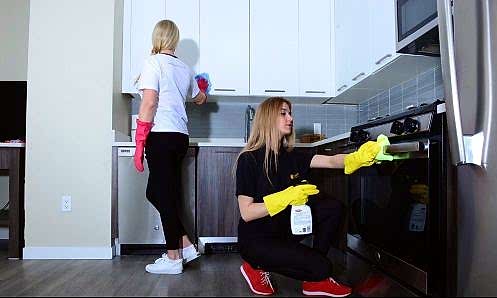 sunlight cleaning company nyc maids