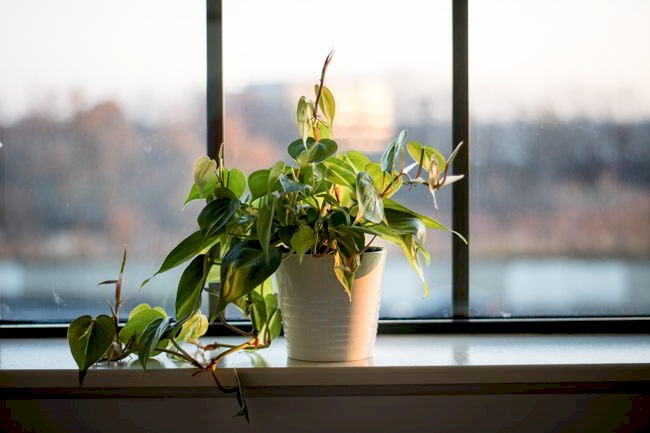 post construction cleaning services NYC