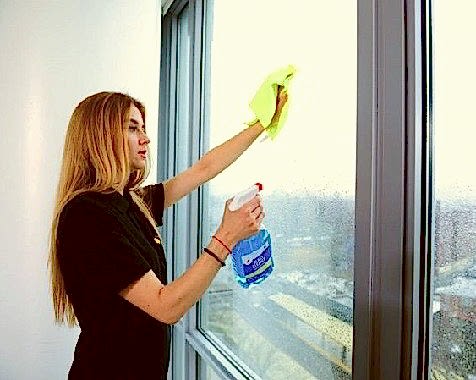 sunlight cleaning company NYC services maid