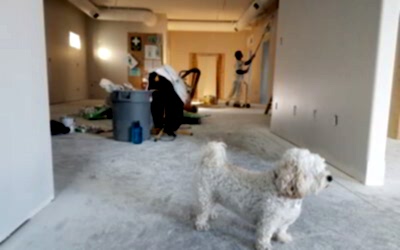 Post Construction Deep Cleaning Guide for New Homeowners